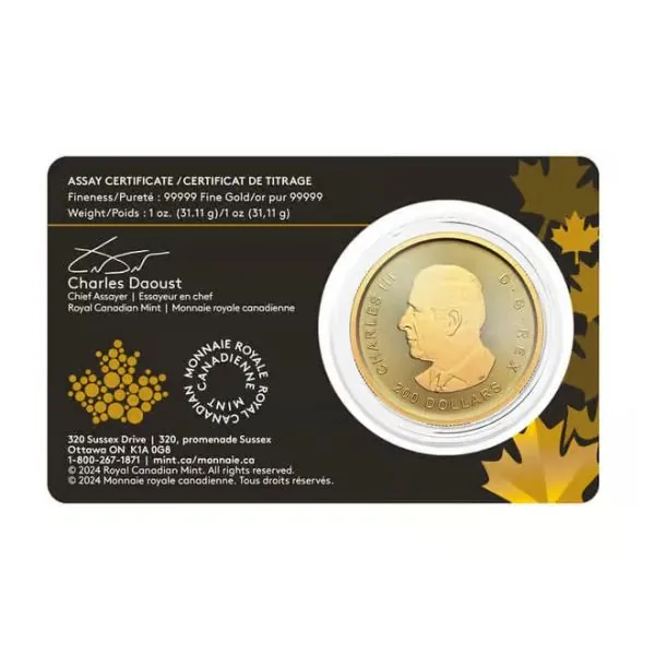 Rückseite Klondike Gold Rush Dore Münze