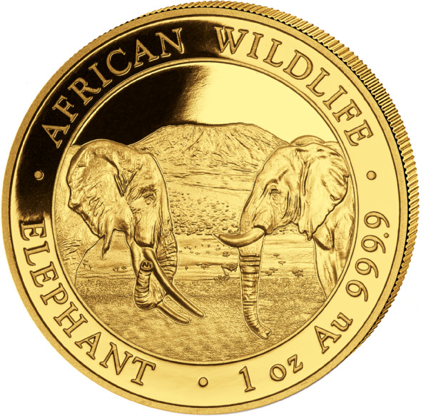 Somalia Elefant 1 Unze Gold 2020