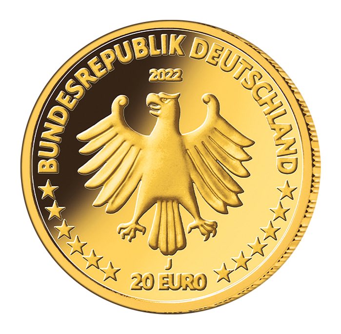 20 Euro Goldmünze Kegelrobbe 2022