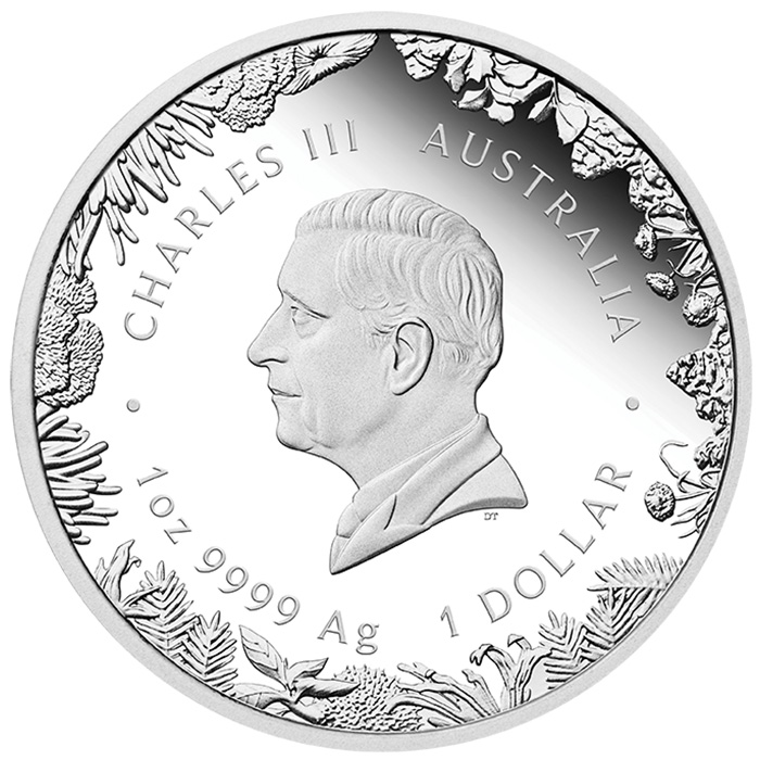 1 Dollar Wonders Outback Proof 2026