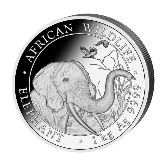 Somalia Elefant 1 kg Silber 2018 Vorderseite Motiv kaufen