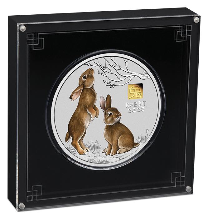 Sammlerbox 1 KG Silber Privy Mark Hase 2023