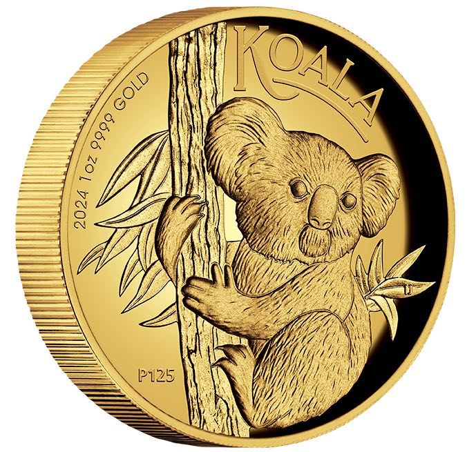 Vorderseite der 1 oz Goldmünze Koala 2024 in High Relief Prägung mit Koalamotiv.