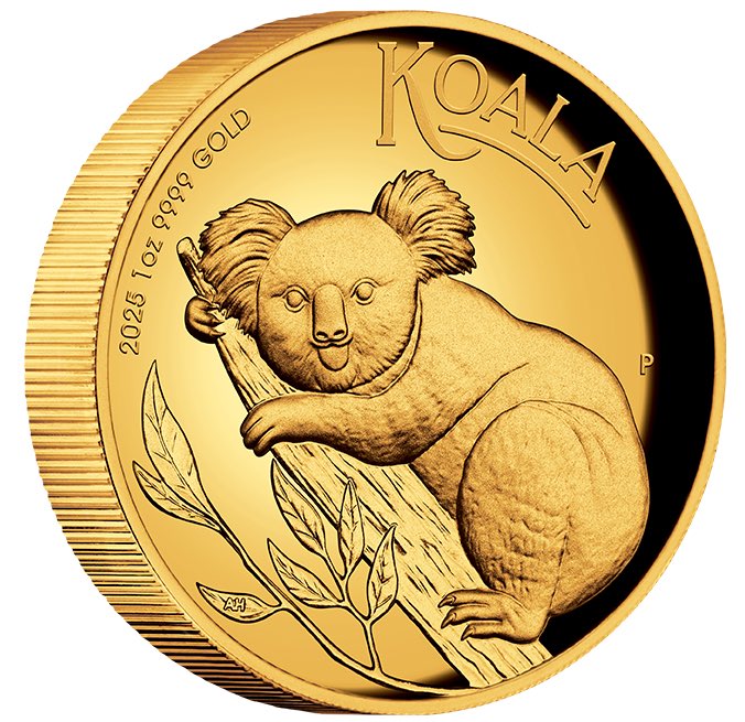 Australian Koala 2025 – 1oz Goldmünze in Polierter Platte mit Koala-Motiv