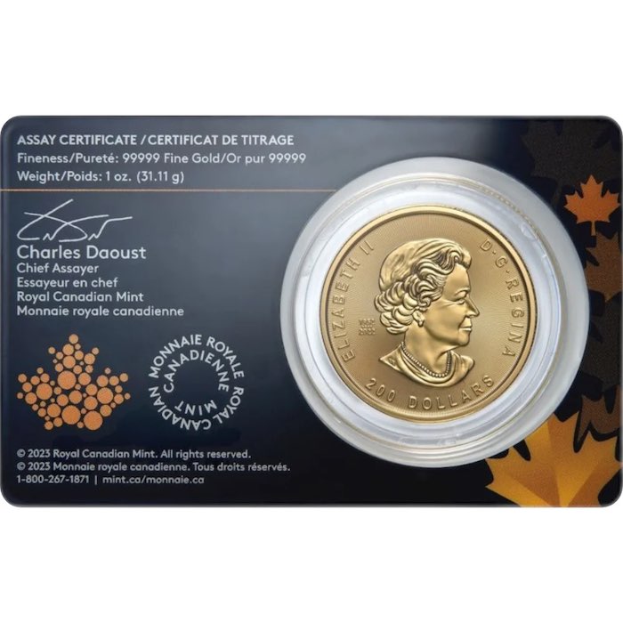 Blister Klondike Gold Rush Goldmünze 1oz 2023