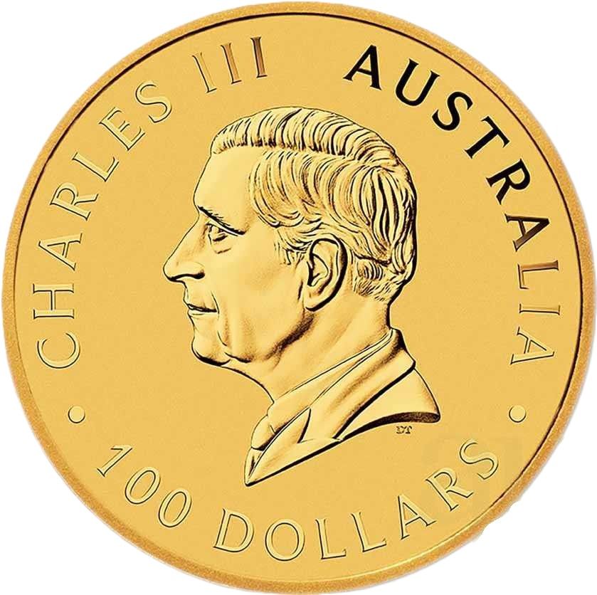 100 Dollar Schwan 2025