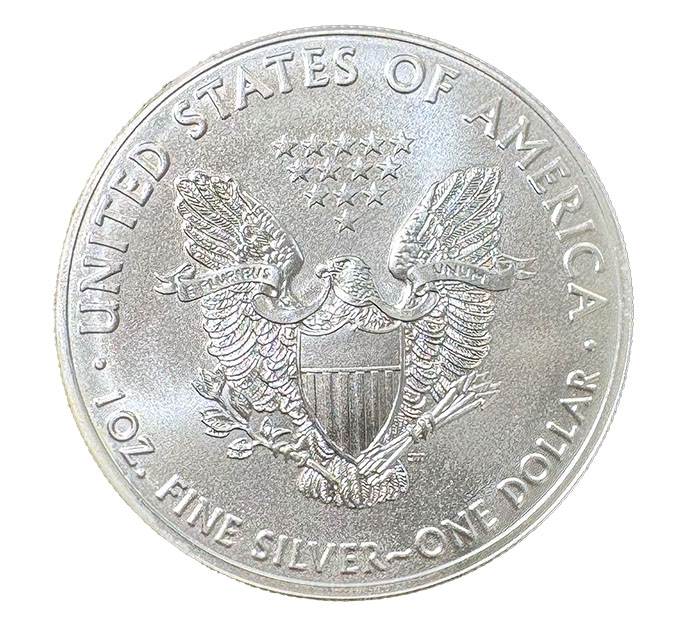 1 Dollar United States American Eagle 