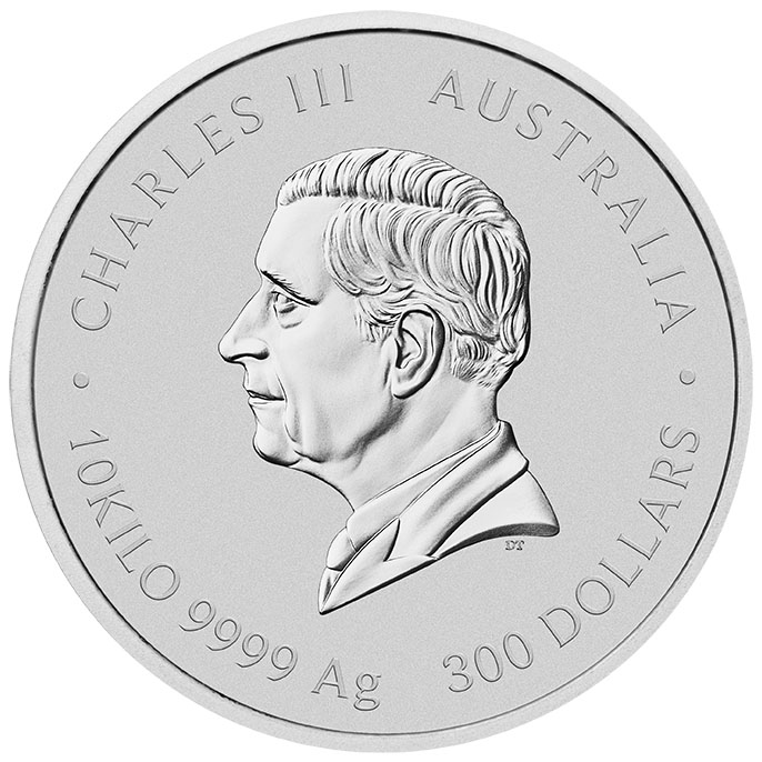 300 Dollar Silber Schlange 2025