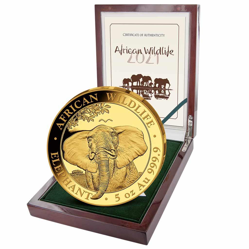 Somalia Elefant 2021 5 Unzen Gold Proof 