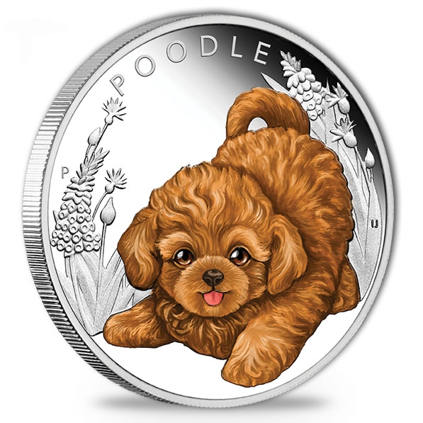 Puppies - Poodle - 1/2 Oz Silber Proof 2018 +Box +COA*