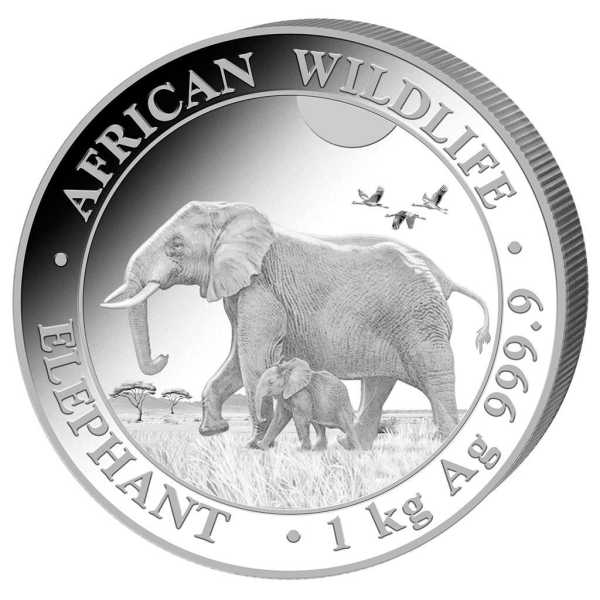 Motivseite der 1 kg Silbermünze Somalia Elefant 2022 aus der African Wildlife Serie